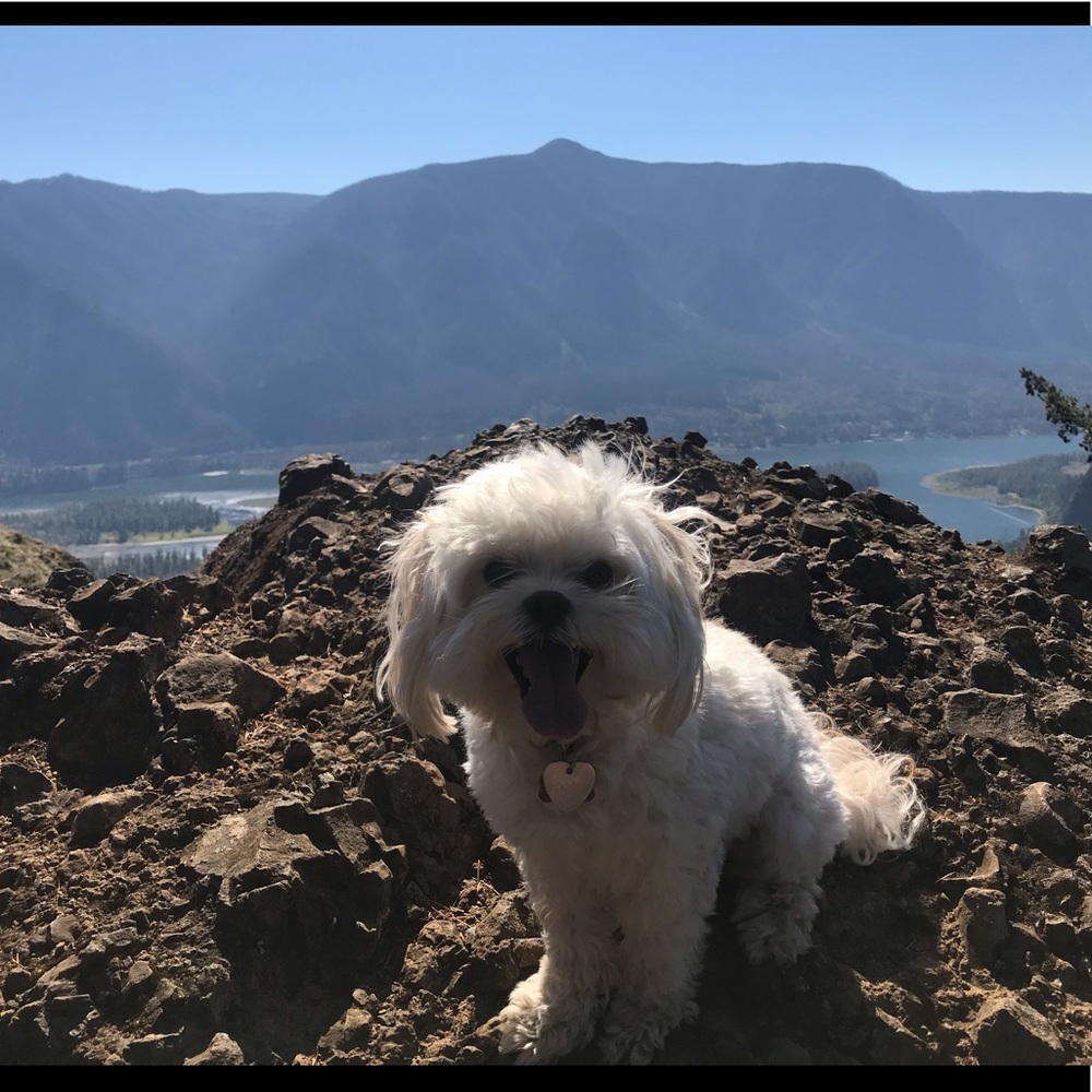 Meet your Posher, Nia